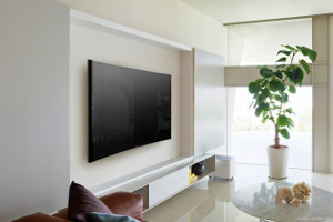 Wall mounted television